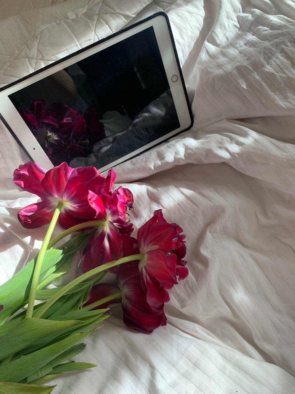 Мини-отель Яблоки Нижний Новгород-18